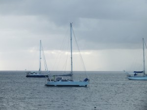 DSCF6495