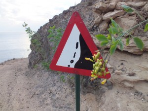 PortoSanto (12)