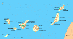 canaries