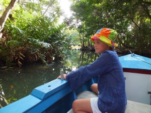 indianriver (17)