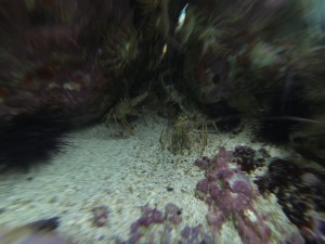 DCIM128GOPRO