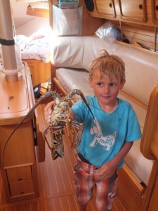 langoustes