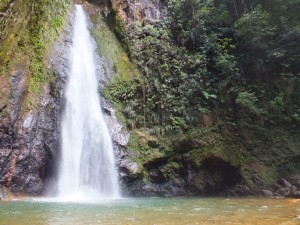 syndicatefalls (76)